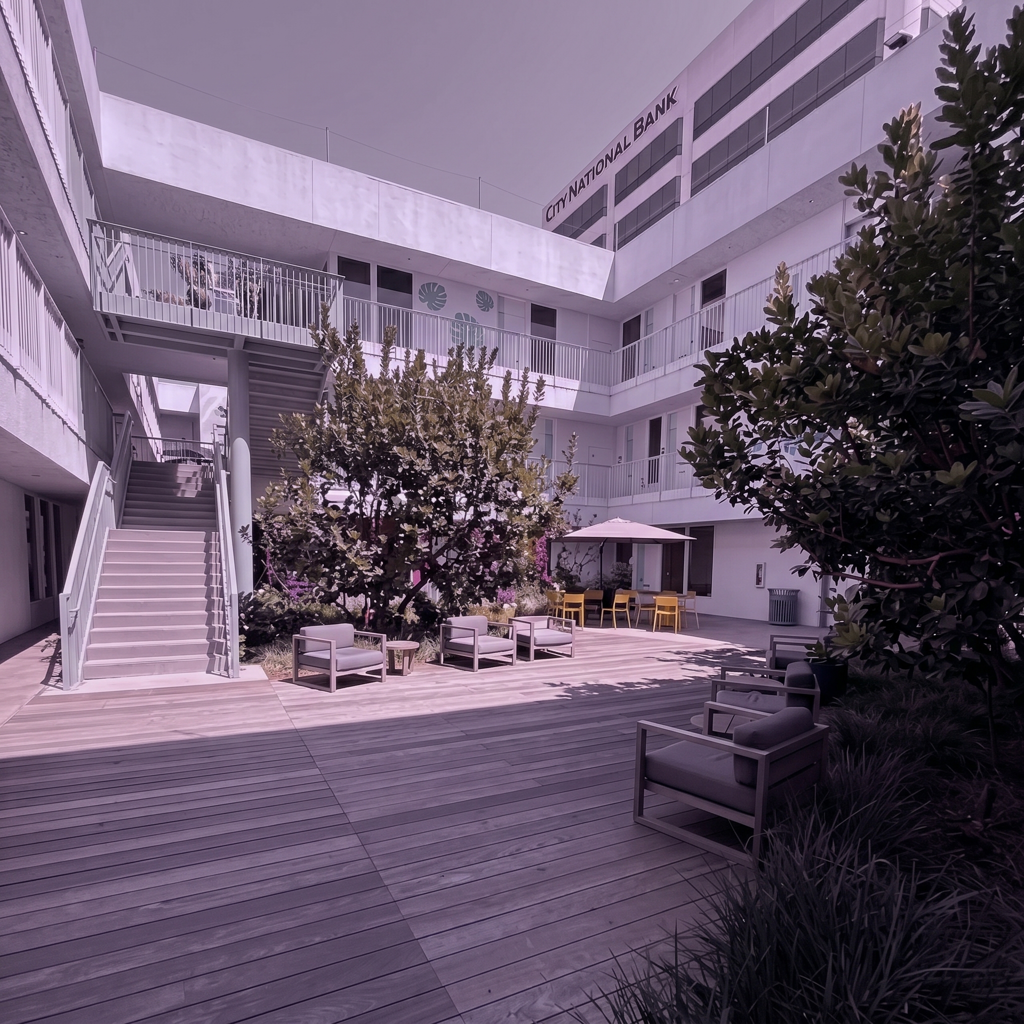 Serenity Mind office interior